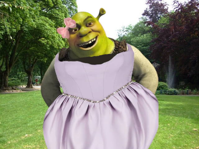 One of the images in the website; Shrek in a beautiful dress.